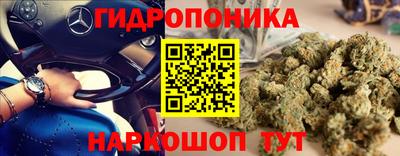 ПСИЛОЦИБИНОВЫЕ ГРИБЫ Будённовск