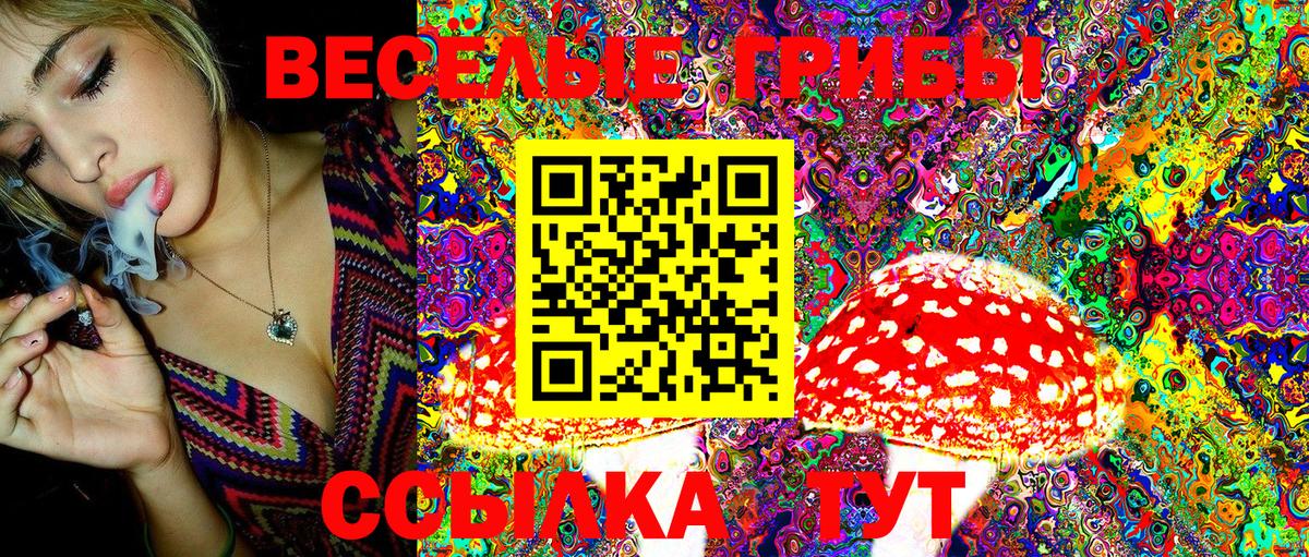 Костомукша  Псилоцибиновые грибы Magic Shrooms  Вход с VPN 