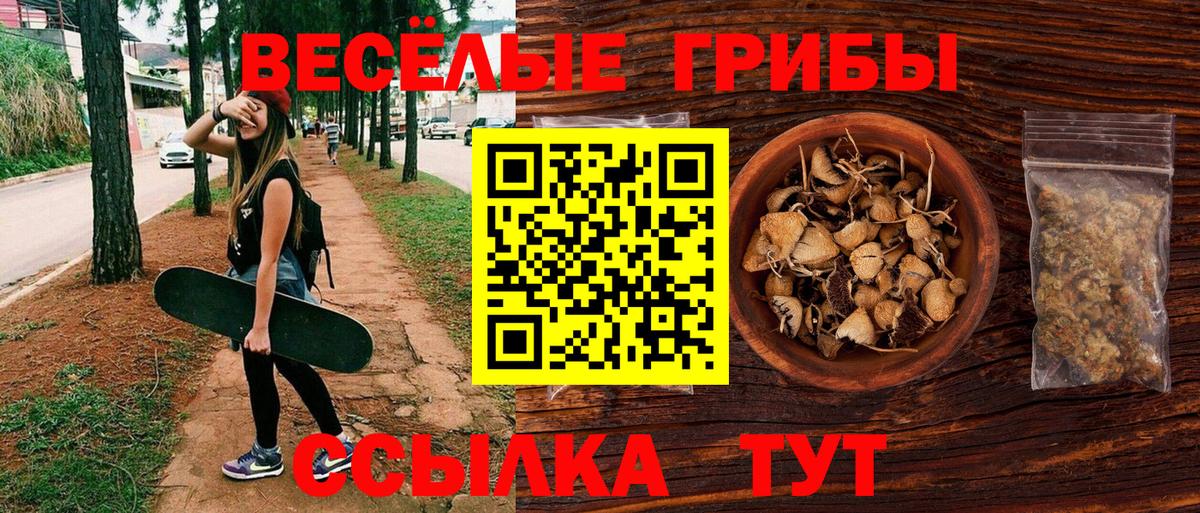 Псилоцибиновые грибы Psilocybine cubensis Костомукша